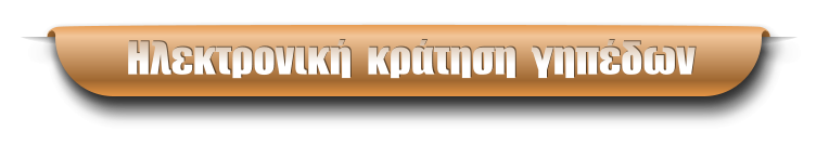 Ηλεκτρονική  κράτηση  γηπέδων